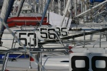 bild_6.jpg